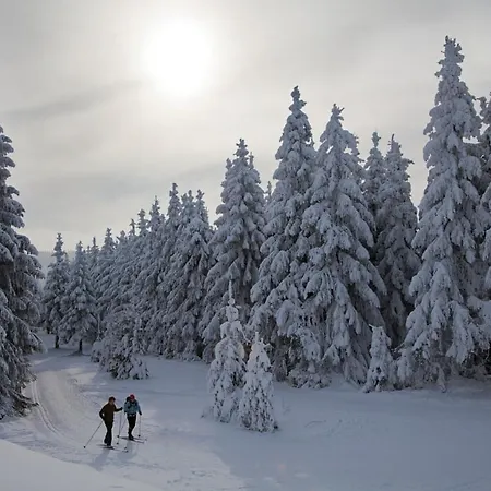 Stadtstreuner * Winterberg