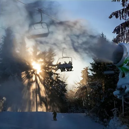 Daire Stadtstreuner Winterberg